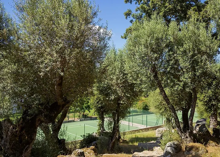 Domaine D'arca - Gauguin 12 - 6 Pers * Porto-Vecchio (Corsica)