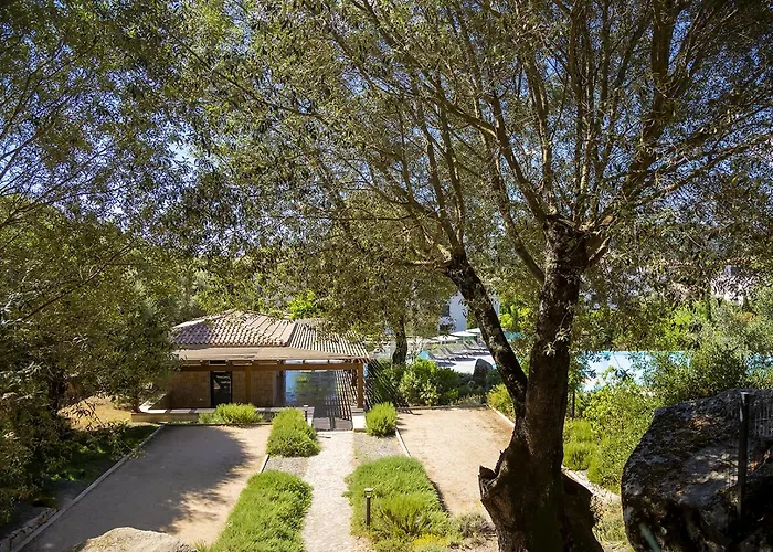 Domaine D'arca - Gauguin 12 - 6 Pers Daire Porto-Vecchio (Corsica)